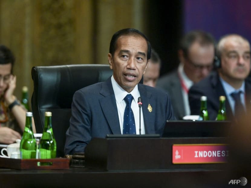 'We must not allow the world to fall into another Cold War': Indonesia's Jokowi at G20 summit