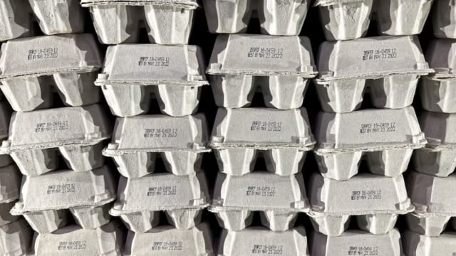 美国蛋价圣诞前飙新高 禽流感来袭影响产量