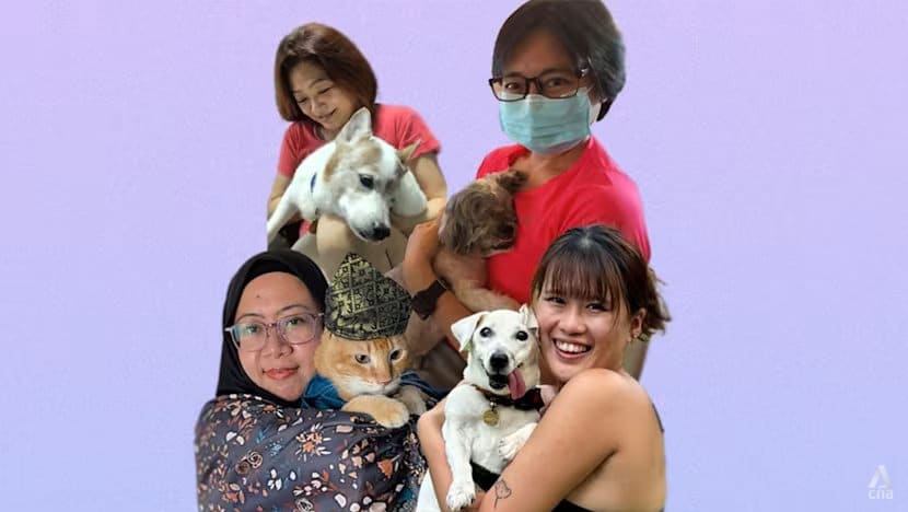 Mereka yang menyediakan rumah bagi hewan lansia, buta, dan sakit parah