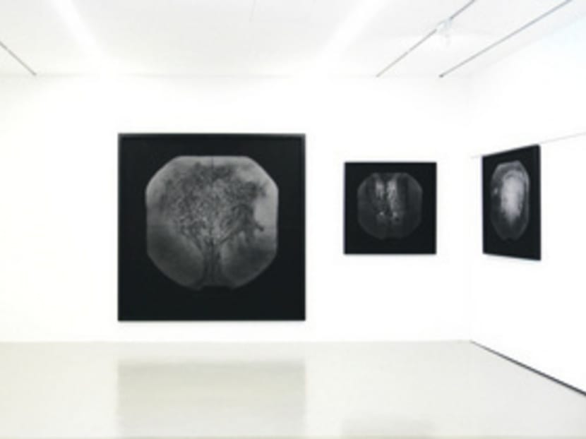Art review: The World Surrounding an Indoor Plant