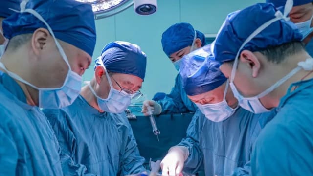 创世界首例！中国成功将基因编辑猪肝移植人体
