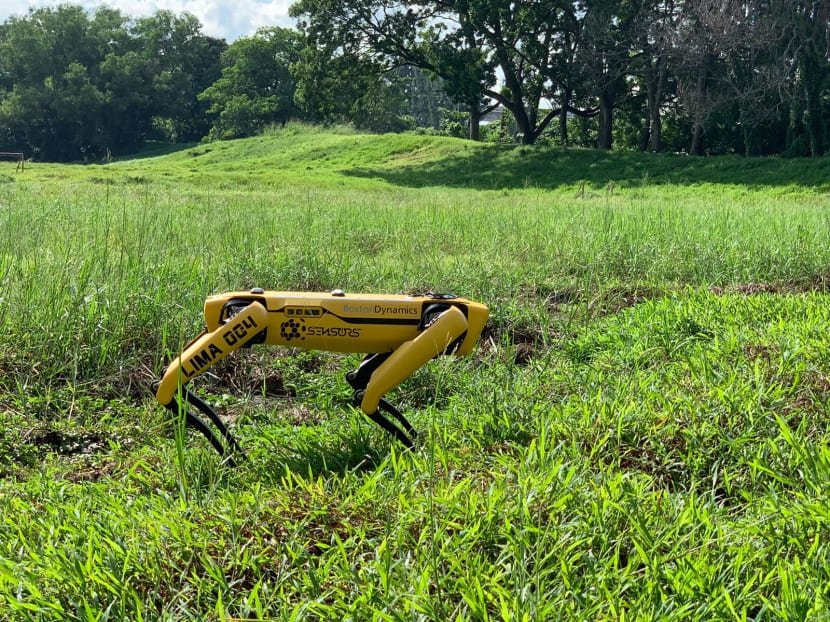 Spot the robot will broadcast a recorded message to remind park visitors to observe safe distancing measures and will be fitted with cameras to estimate the number of visitors in the park.