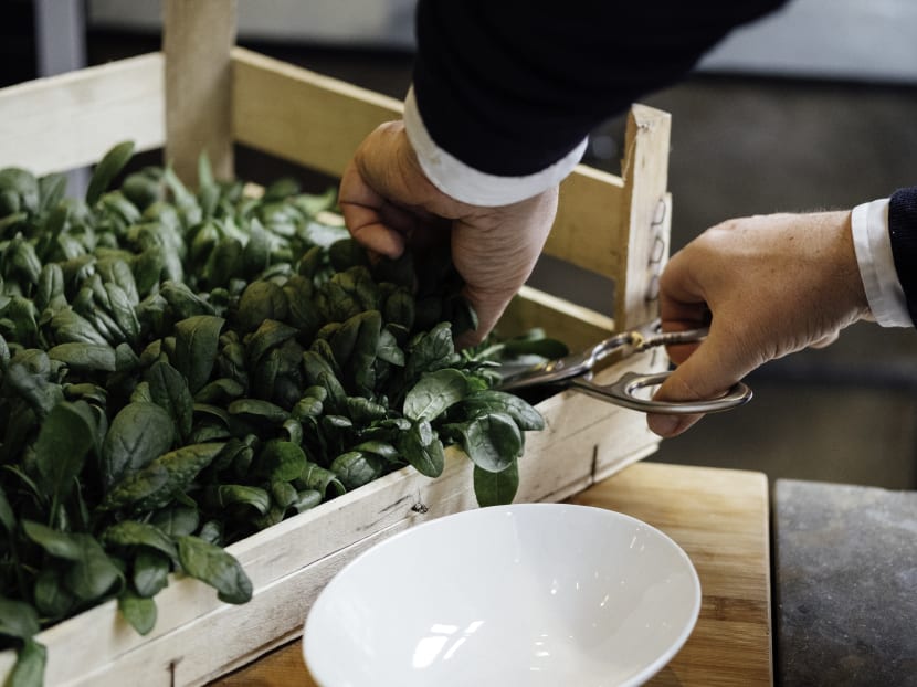 &ever's dryponics cultivation technique will allow customers to harvest their vegetables just before they decide to use it.