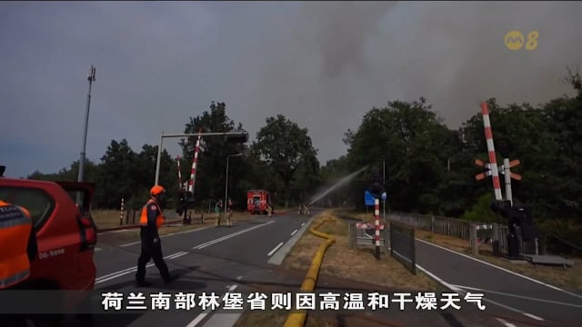 欧美野火狂烧 美国警方逮捕涉嫌纵火男子