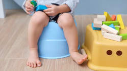 Related article image