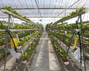 Revised food production targets balance 'ambition and pragmatism', says Zaqy Mohamad