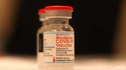Related article image