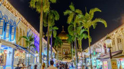 Related article image