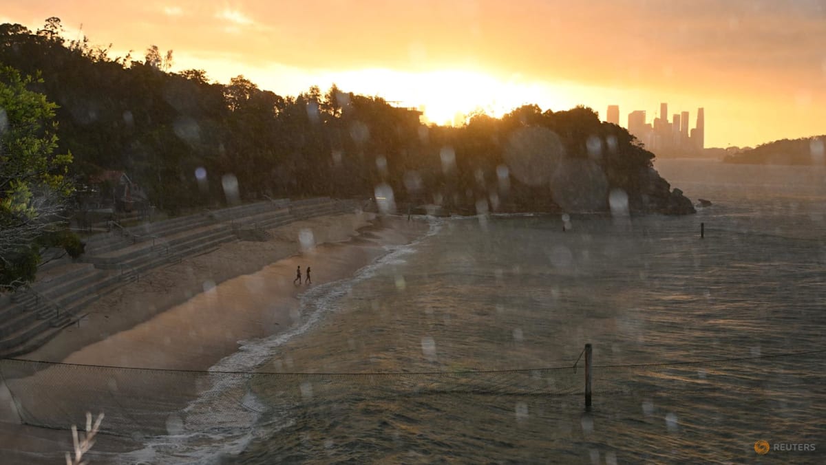 Australian boy in critical condition after Sydney Harbour shark attack