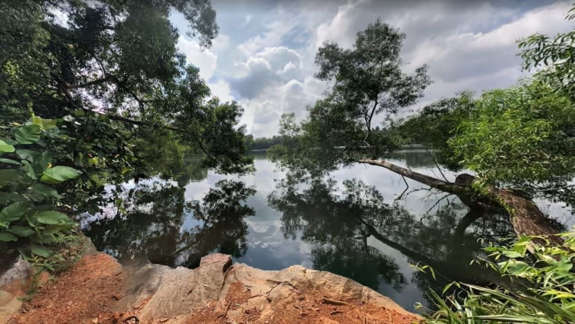 Mayat ditemui semasa operasi cari NSF SCDF hilang di Pulau Ubin Mayat ditemui semasa operasi cari NSF SCDF hilang di Pulau Ubin