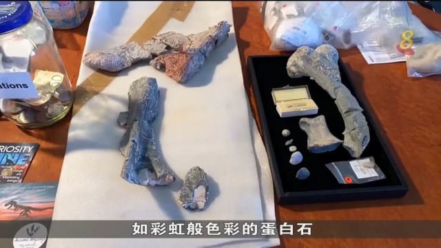 澳洲研究中心邀民众寻恐龙化石 助了解当地史前历史