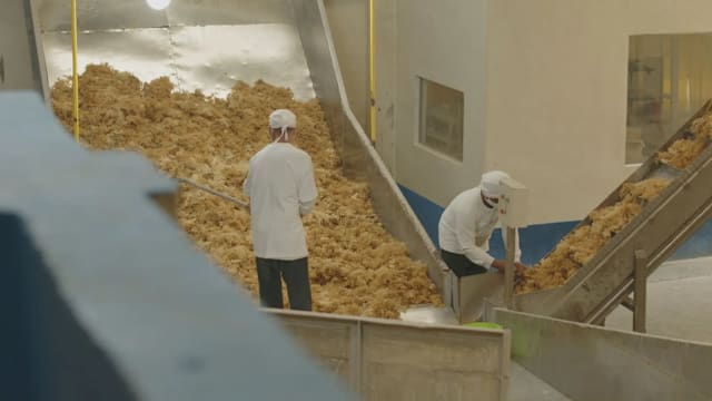焦点 | 从海藻到卡拉胶 谁决定海藻的价格？ 