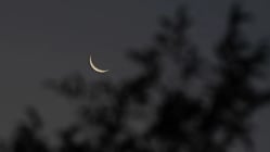 Related article image