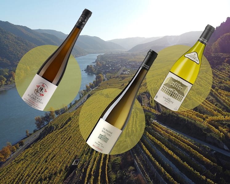 Beyond Chardonnay and Sauvignon Blanc: Discover Austria’s Gruner Veltliner