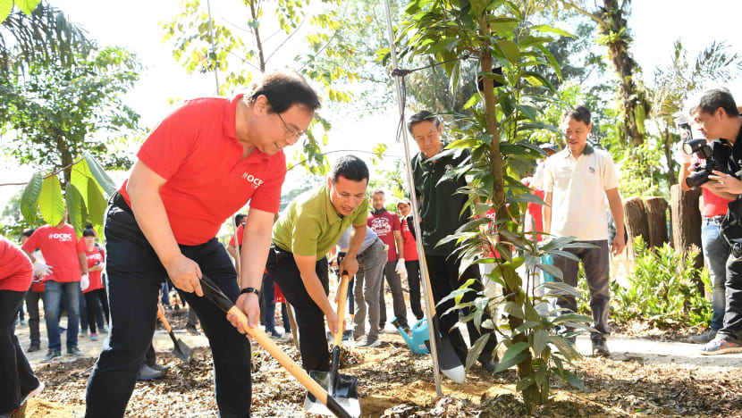 OCBC invests S$4 million to build high-tech research forest at Singapore Botanic Gardens