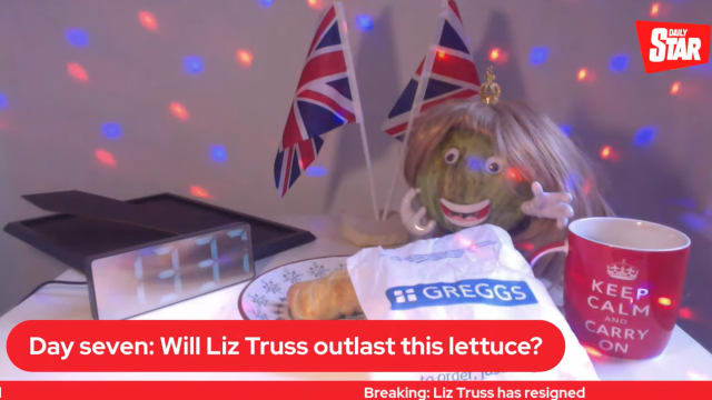 英国首相输给了生菜！生菜未变质 特拉斯先辞职