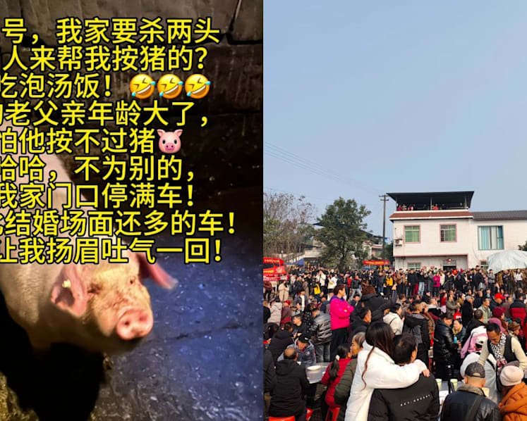 She asked the internet for help with slaughtering two pigs. Thousands turned up in support 