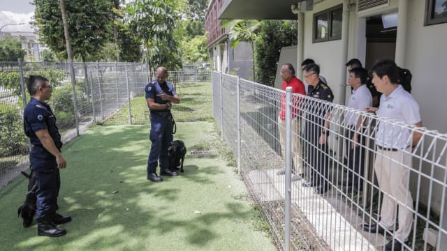参与土耳其赈灾搜救犬正接受隔离 尚穆根前去探望