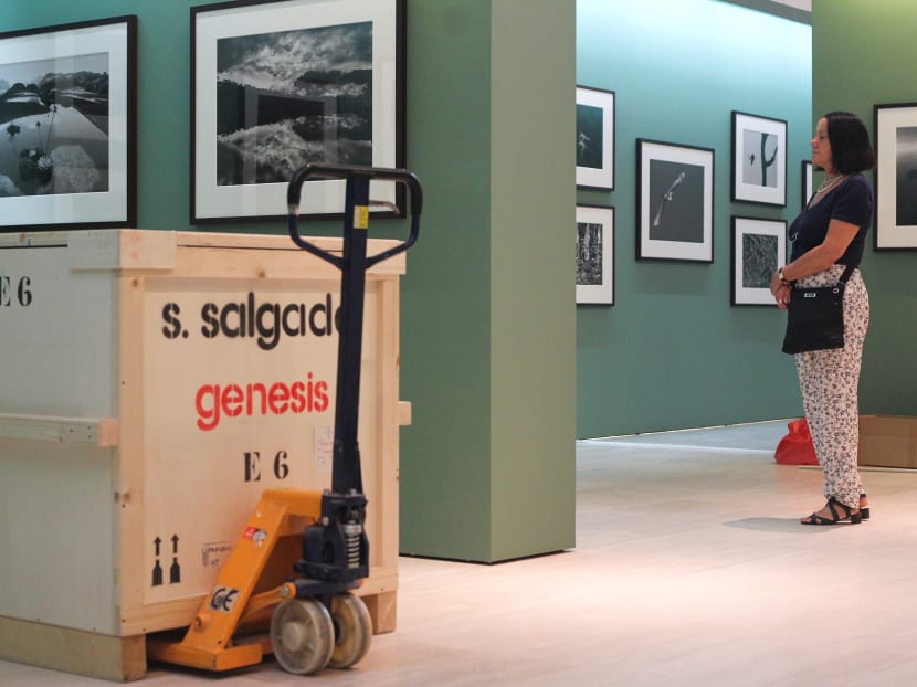 Sebastiao Salgado and the world of Genesis