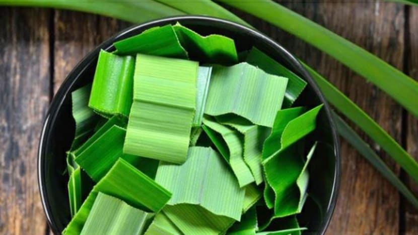 7 manfaat daun pandan untuk kecantikan dan cara amalkannya