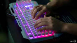Related article image