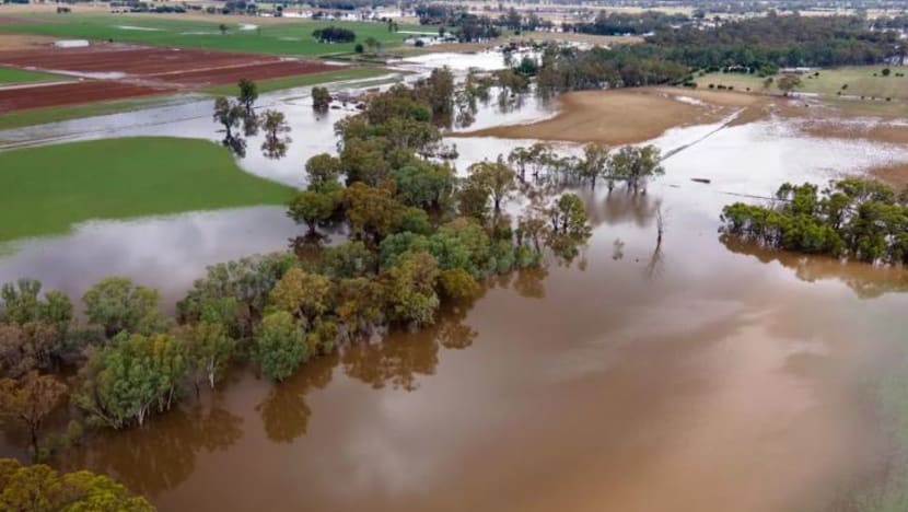 Australia pertimbang tubuh pasukan bantuan bencana sedang banjir landa bahagian tenggara Australia pertimbang tubuh pasukan bantuan bencana sedang banjir landa bahagian tenggara