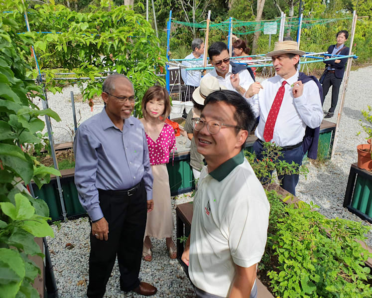 No risk of running short of food from short-term disruptions, but climate change poses a greater challenge: Masagos
