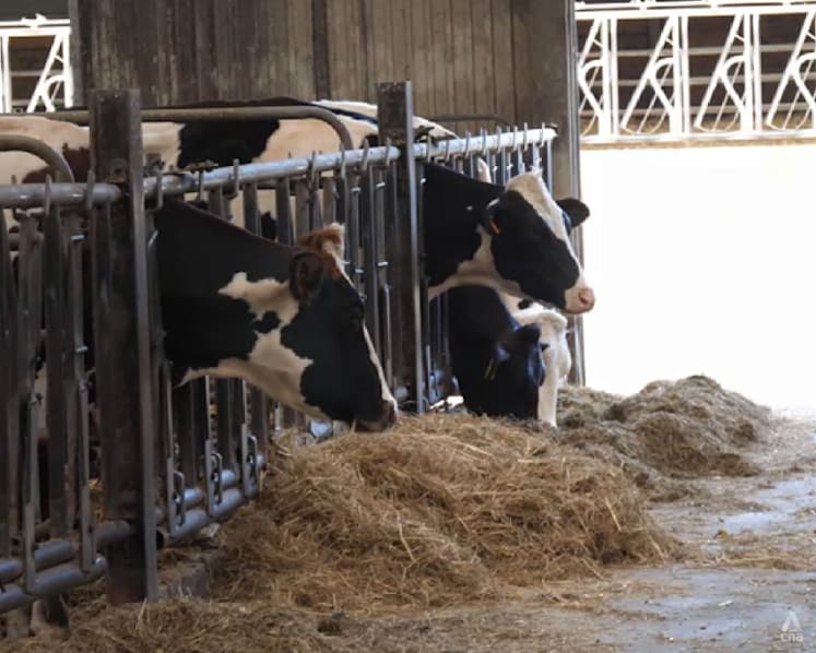 Europe’s scorching summer hits farms, raising concerns for food exports to Asia
