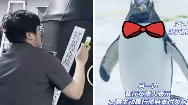 企鹅餐厅倒闭欠薪 员工扣押企鹅拒还海洋馆