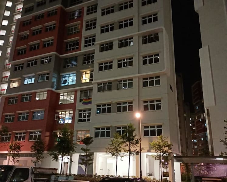 Not illegal to hang LGBTQ pride flag in public, including outside HDB windows, say lawyers