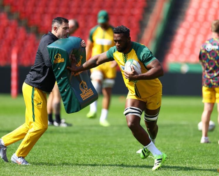 Springboks wait on Kolisi, Nche fitness ahead of first All Blacks test