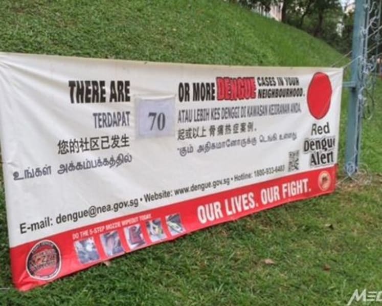 More dengue cases reported in Bishan North