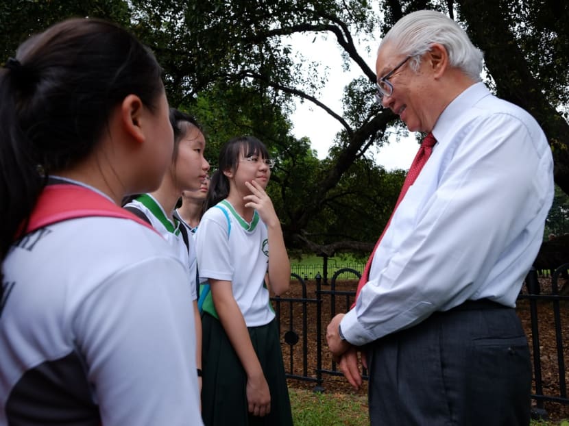 System developed to support iconic Tembusu trees