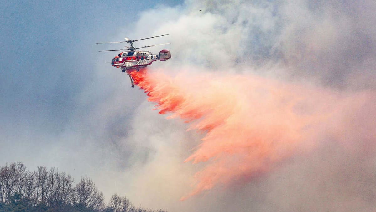 South Korea firefighting helicopter crashes, killing pilot South Korea firefighting helicopter crashes, killing pilot