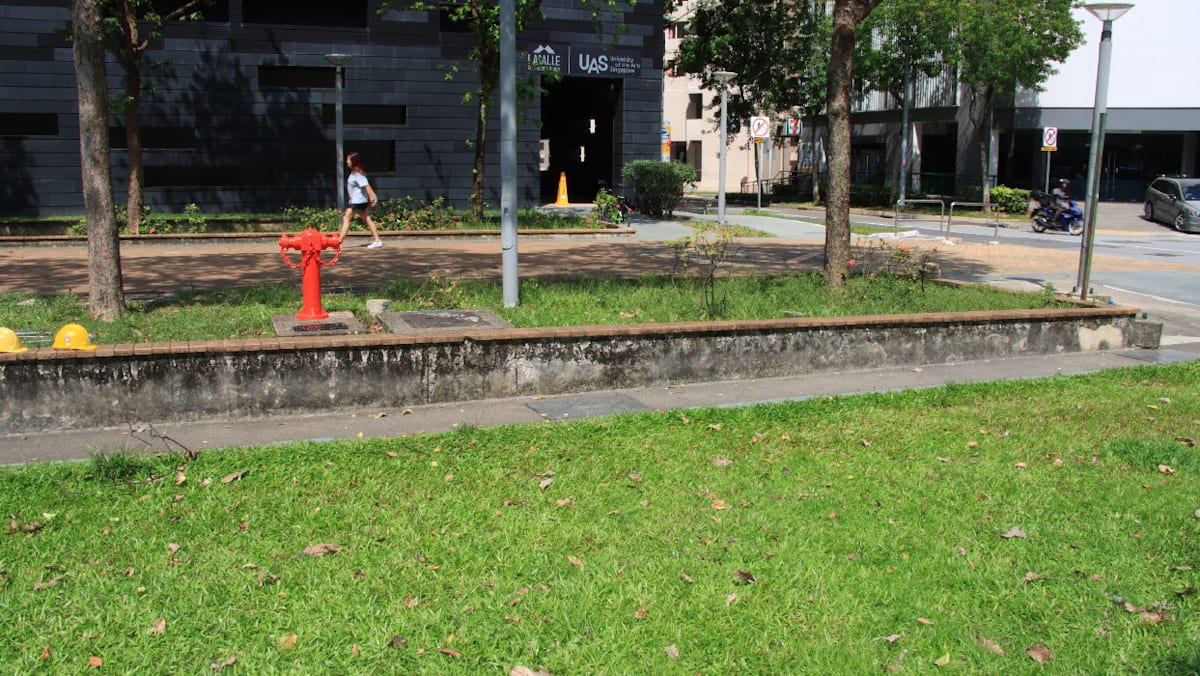 Man who watched alleged sexual assault of maid in Rochor field before raping her gets jail, caning
