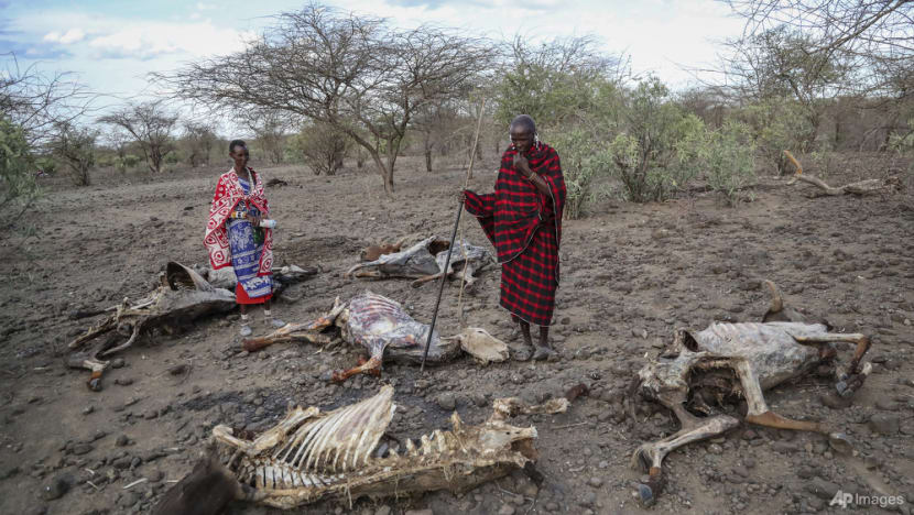 Climate change costs Africa up to 5% of GDP, UN climate head says Climate change costs Africa up to 5% of GDP, UN climate head says