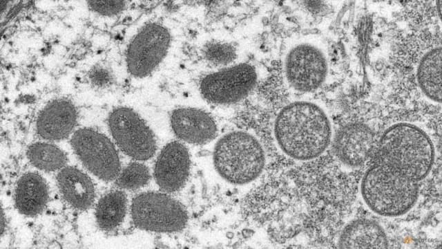 世卫：全球50国已累计出现3413起猴痘病例 