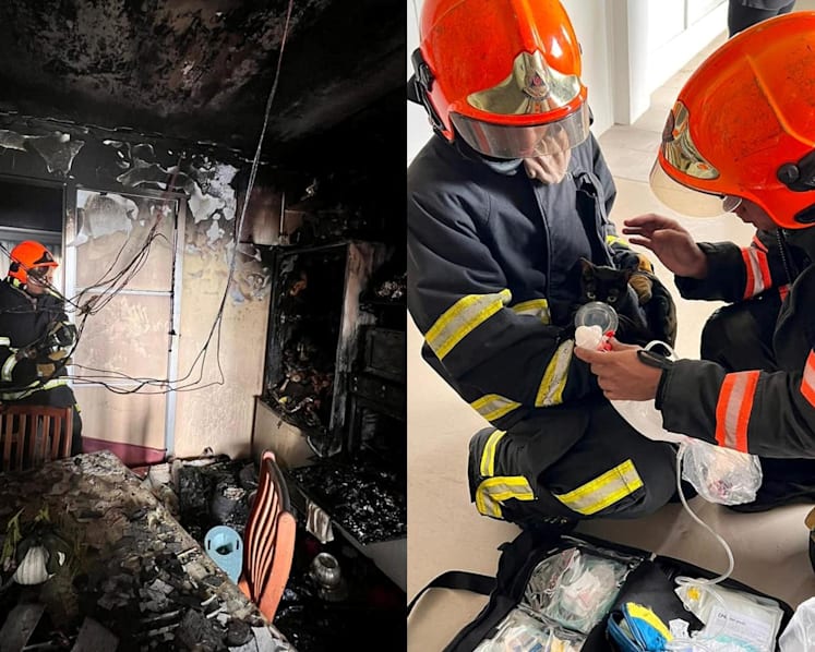 Infant taken to hospital, two cats rescued following fire at Jurong East flat
