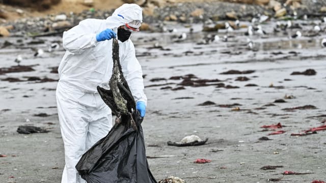 世卫：人类感染禽流感病例已达到非常关注程度