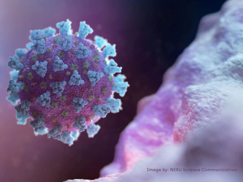The viral strain identified in India contains a mutation that could undermine current efforts to develop a vaccine. The viral strain identified in India contains a mutation that could undermine current efforts to develop a vaccine.