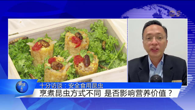 狮城有约 | 十分访谈：安全食用昆虫