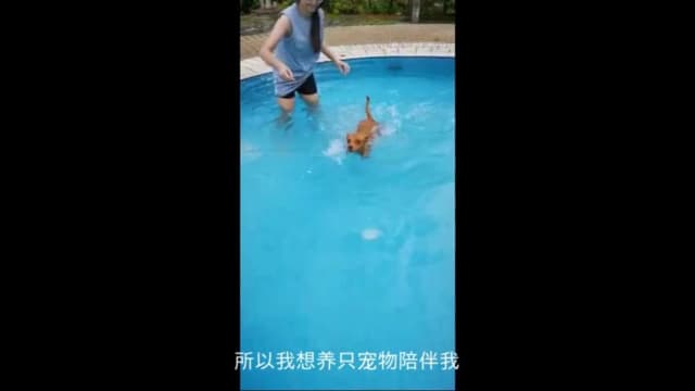【我来报新闻】疫情催生宠物热 更多中学生想饲养宠物