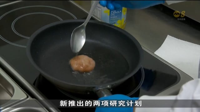 卓越研究与科技企业学园推出新研究计划 降低替代肉类生产成本