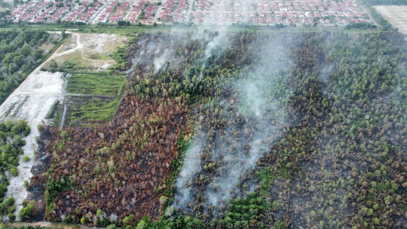 Johor conducting water bombing for partially controlled Pengerang peatland fire