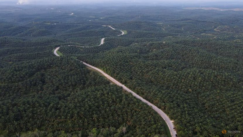 Indonesia takes another step towards B50 biodiesel