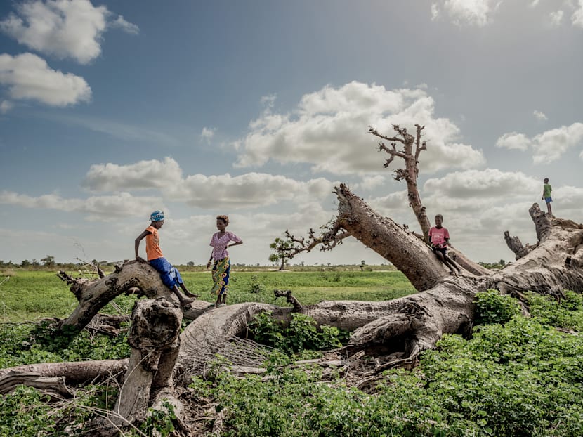 ​Focusing on how individuals can help combat climate change may not be the best approach