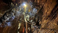 Related article image