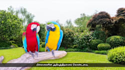 Related article image