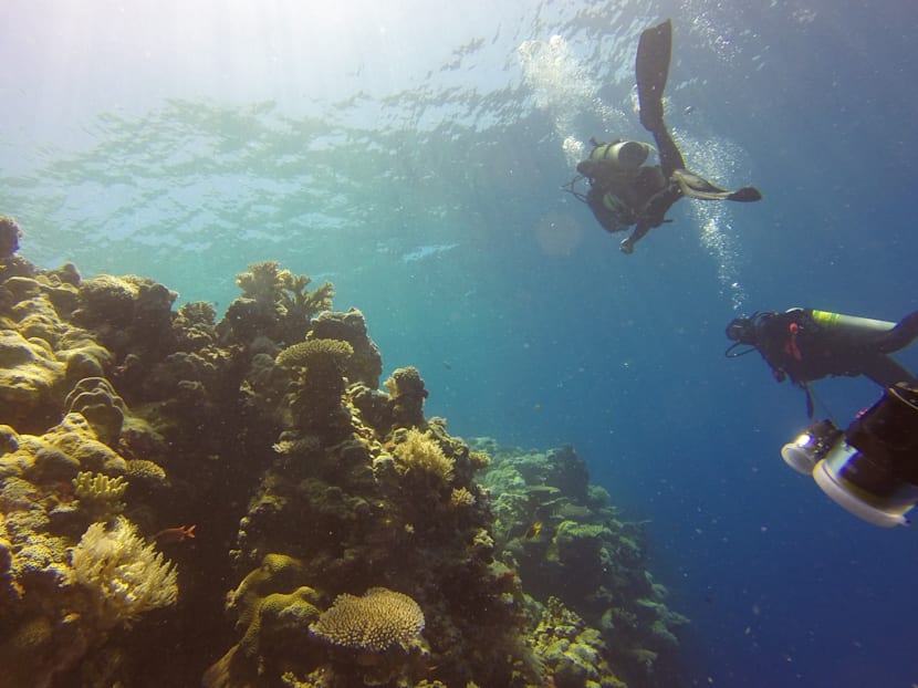 It might be the world’s biggest ocean, but the mighty Pacific is in peril