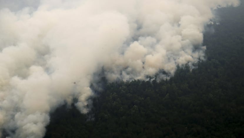 Indonesia's hazy skies worsen as forest burning continues